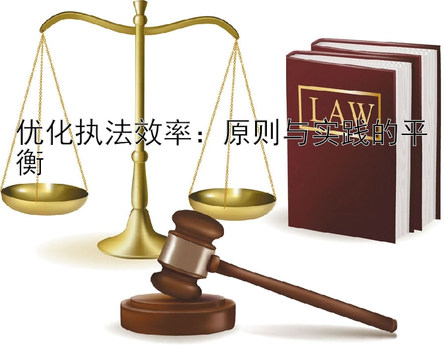 优化执法效率：原则与实践的平衡