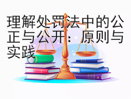 理解处罚法中的公正与公开：原则与实践