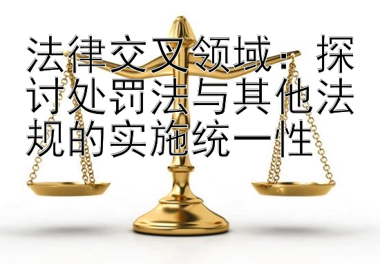 法律交叉领域：探讨处罚法与其他法规的实施统一性