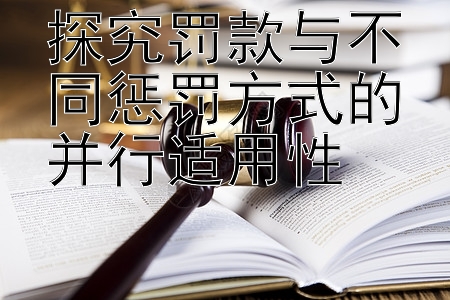 探究罚款与不同惩罚方式的并行适用性