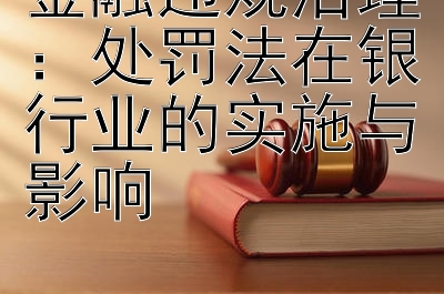 金融违规治理：处罚法在银行业的实施与影响