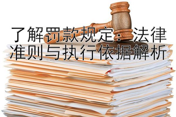 了解罚款规定：法律准则与执行依据解析