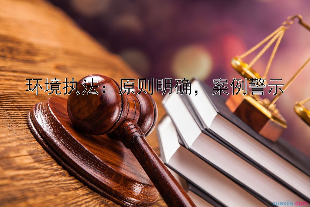 环境执法：原则明确，案例警示