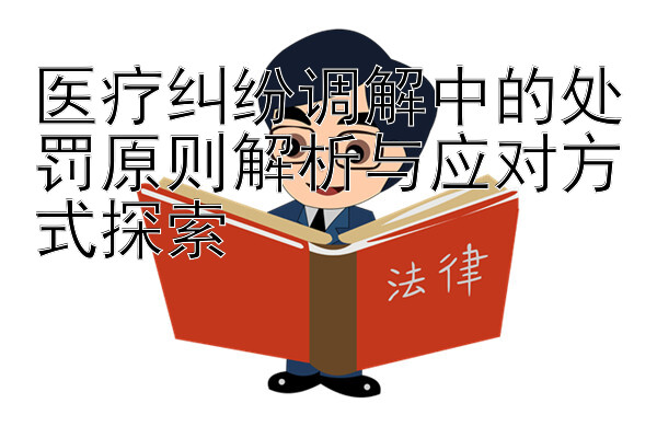 医疗纠纷调解中的处罚原则解析与应对方式探索