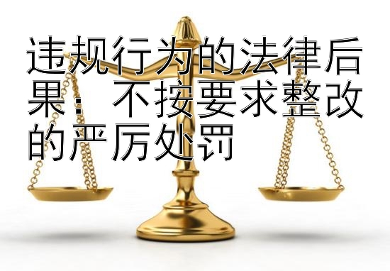 违规行为的法律后果：不按要求整改的严厉处罚