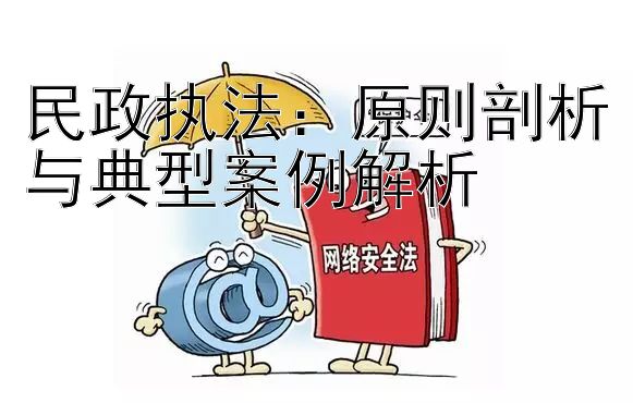 民政执法：原则剖析与典型案例解析