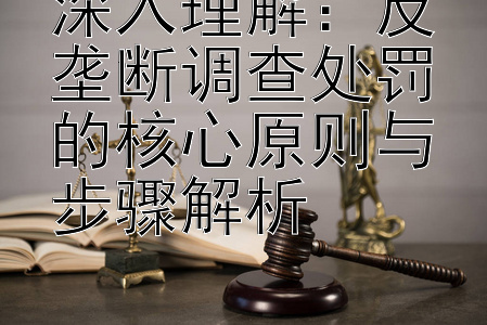 深入理解：反垄断调查处罚的核心原则与步骤解析