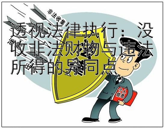 透视法律执行：没收非法财物与违法所得的异同点