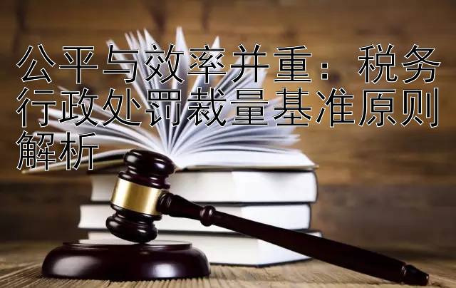 公平与效率并重：税务行政处罚裁量基准原则解析