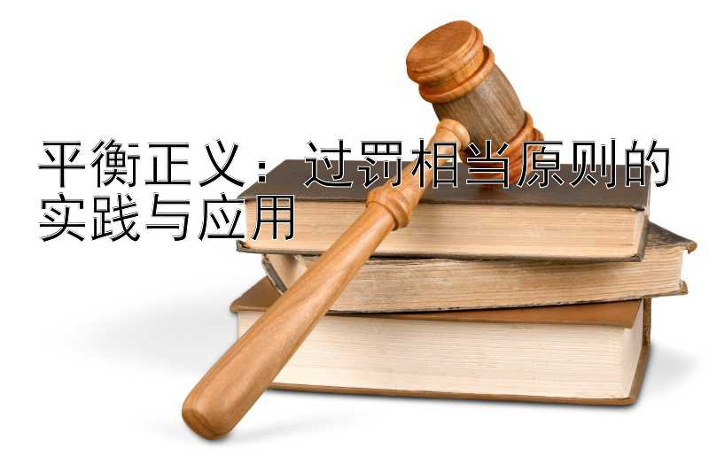 平衡正义：过罚相当原则的实践与应用