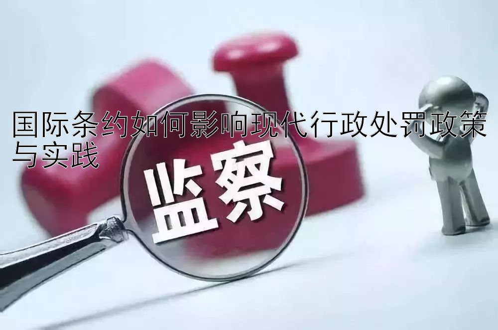 国际条约如何影响现代行政处罚政策与实践