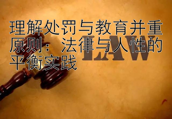 理解处罚与教育并重原则：法律与人性的平衡实践