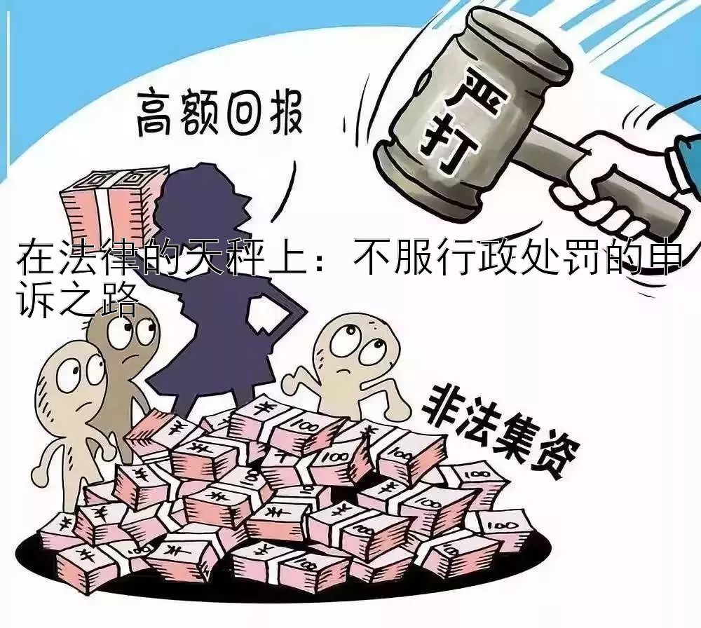 在法律的天秤上：不服行政处罚的申诉之路