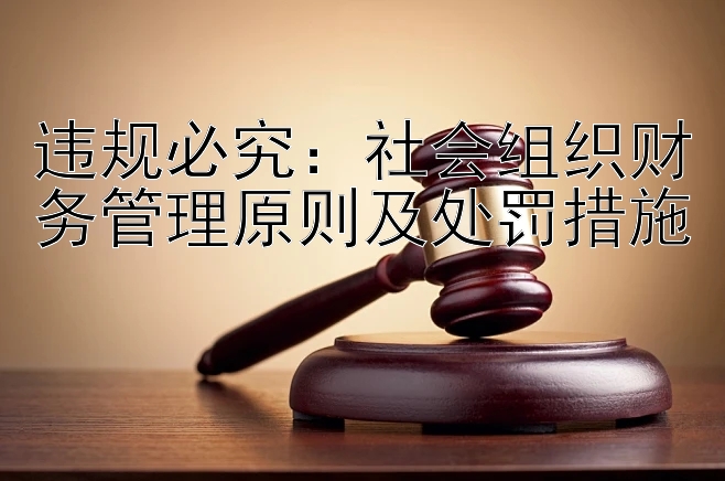 违规必究：社会组织财务管理原则及处罚措施