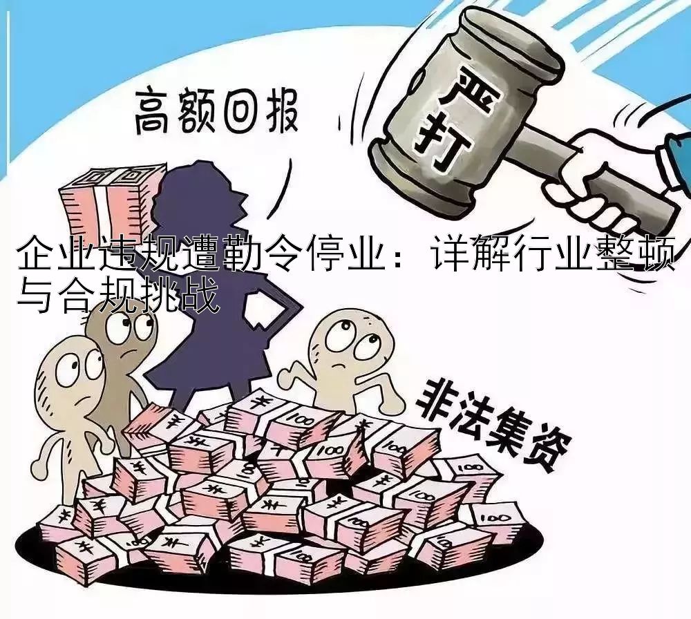 企业违规遭勒令停业：详解行业整顿与合规挑战