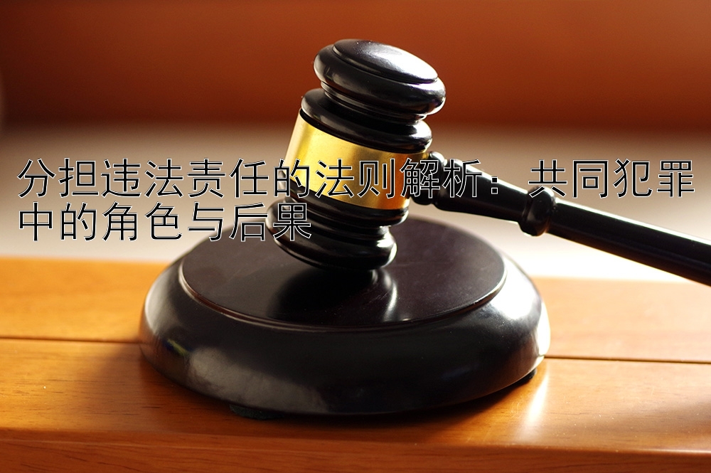 分担违法责任的法则解析：共同犯罪中的角色与后果