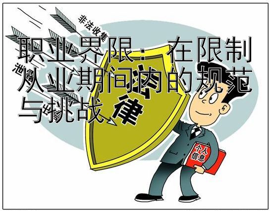 职业界限：在限制从业期间内的规范与挑战