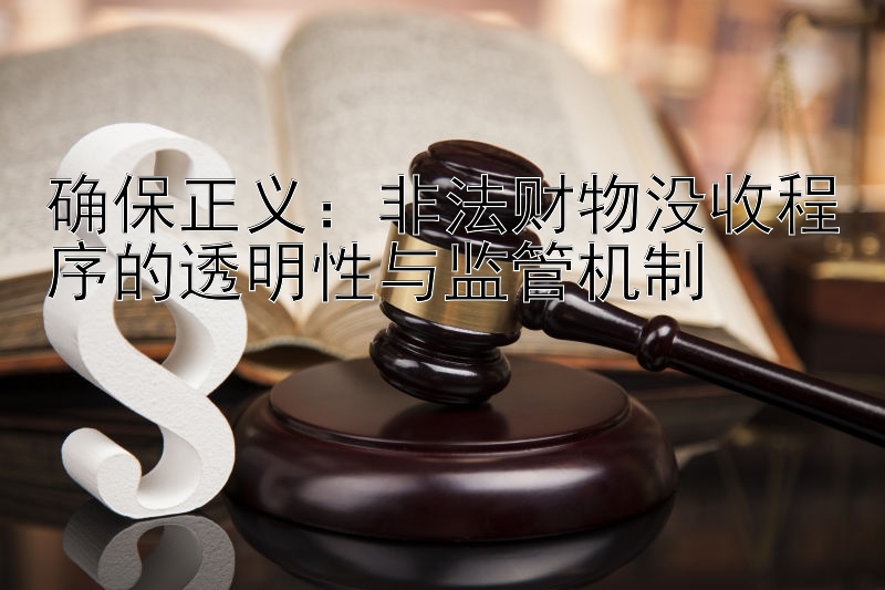 确保正义：非法财物没收程序的透明性与监管机制