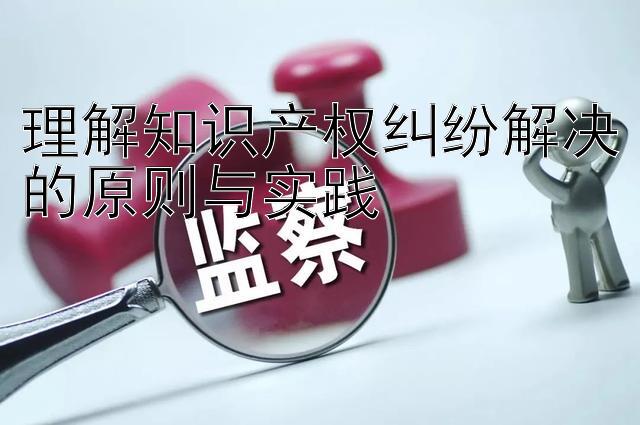 理解知识产权纠纷解决的原则与实践