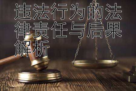 违法行为的法律责任与后果解析