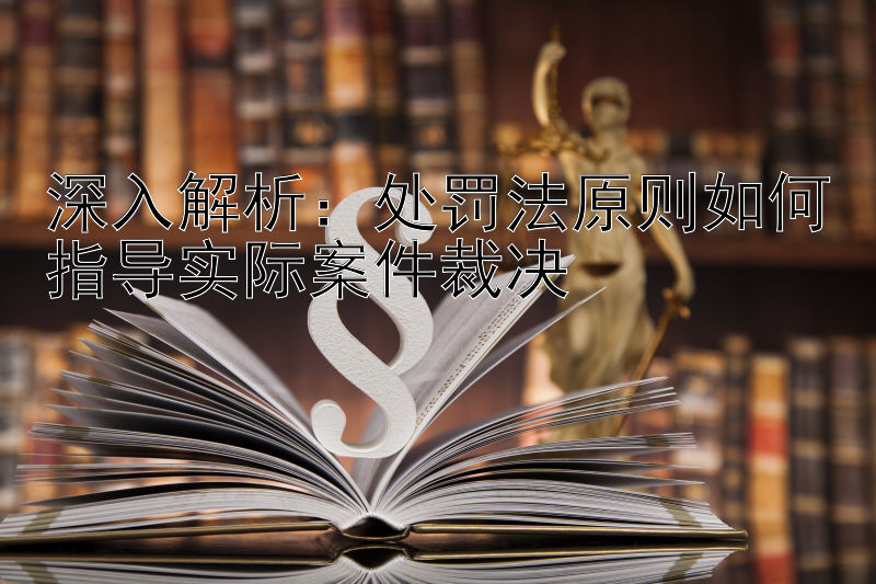 深入解析：处罚法原则如何指导实际案件裁决