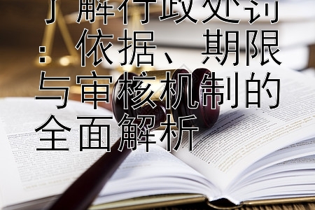 了解行政处罚：依据、期限与审核机制的全面解析