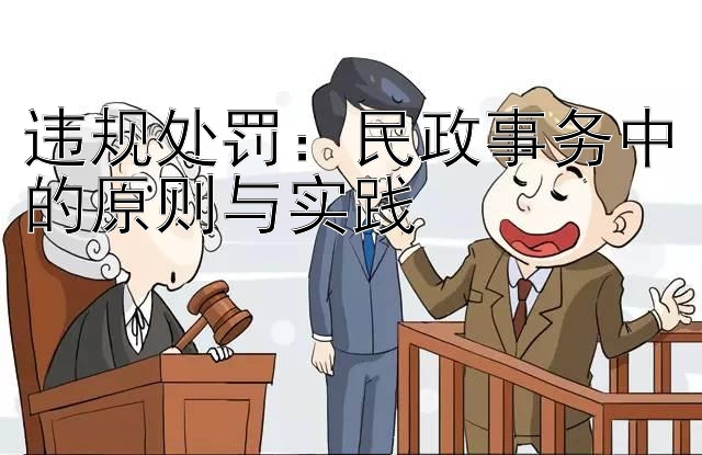 违规处罚：民政事务中的原则与实践