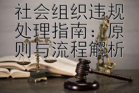 社会组织违规处理指南：原则与流程解析