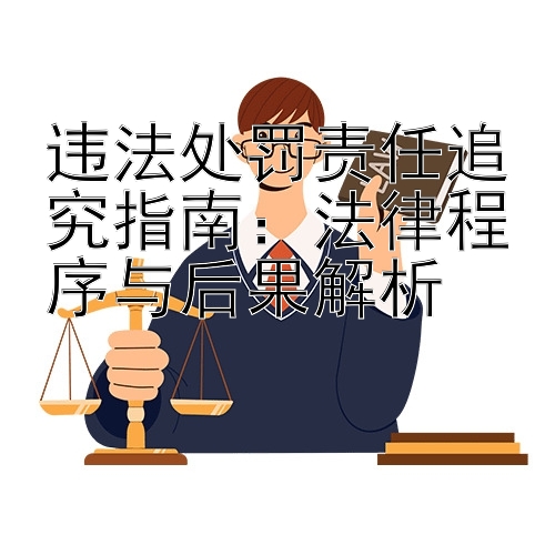 违法处罚责任追究指南：法律程序与后果解析