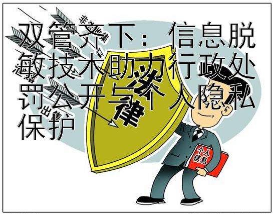 双管齐下：信息脱敏技术助力行政处罚公开与个人隐私保护