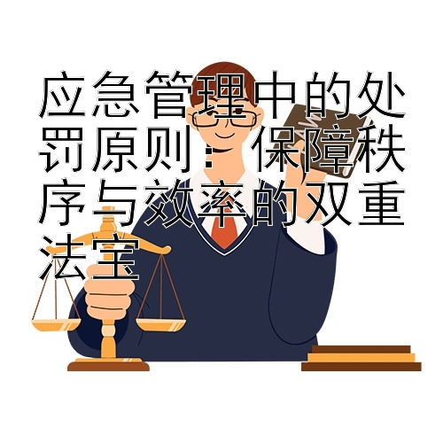 应急管理中的处罚原则：保障秩序与效率的双重法宝