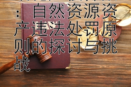 硬化产权界限：自然资源资产违法处罚原则的探讨与挑战