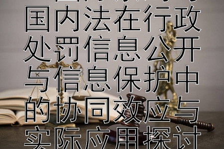 跨国法律交汇：国际条约与国内法在行政处罚信息公开与信息保护中的协同效应与实际应用探讨