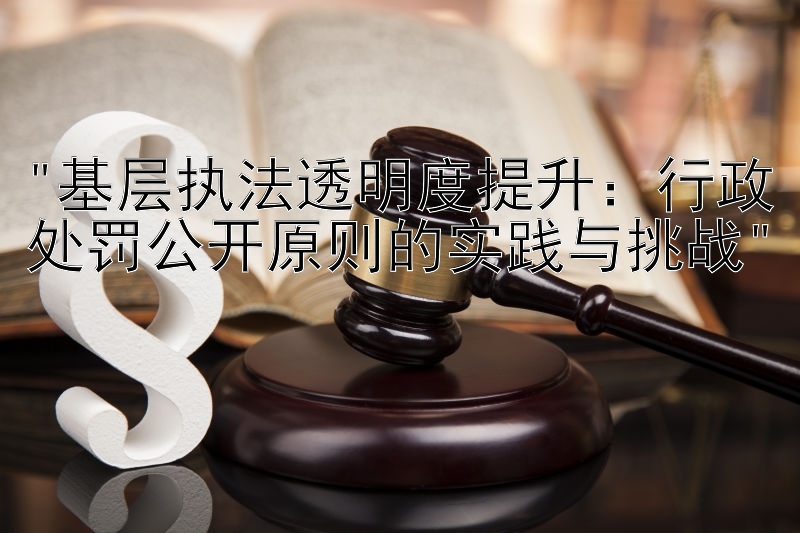 基层执法透明度提升：行政处罚公开原则的实践与挑战