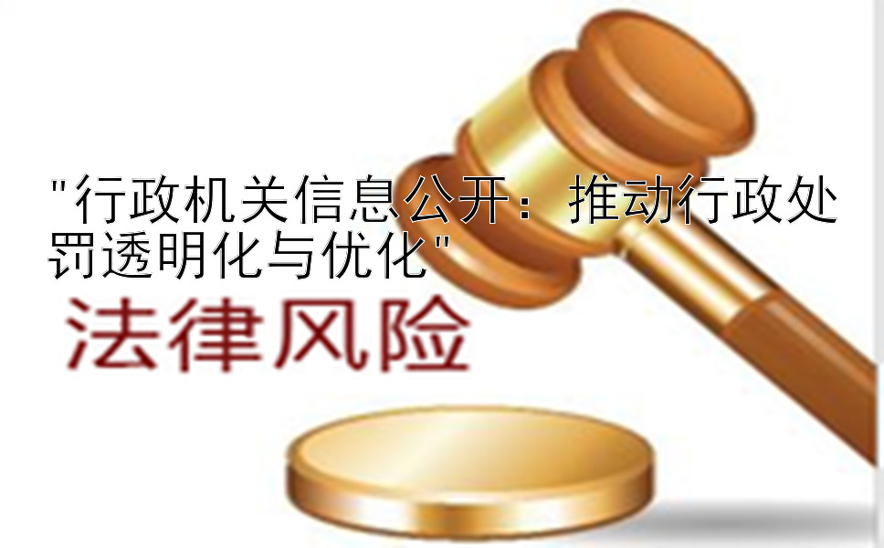 行政机关信息公开：推动行政处罚透明化与优化