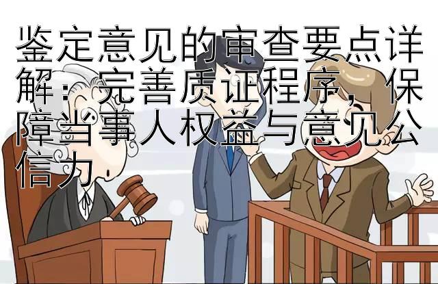 鉴定意见的审查要点详解：完善质证程序，保障当事人权益与意见公信力