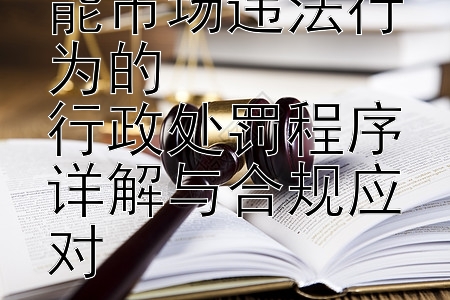 市场监管下储能市场违法行为的  
行政处罚程序详解与合规应对