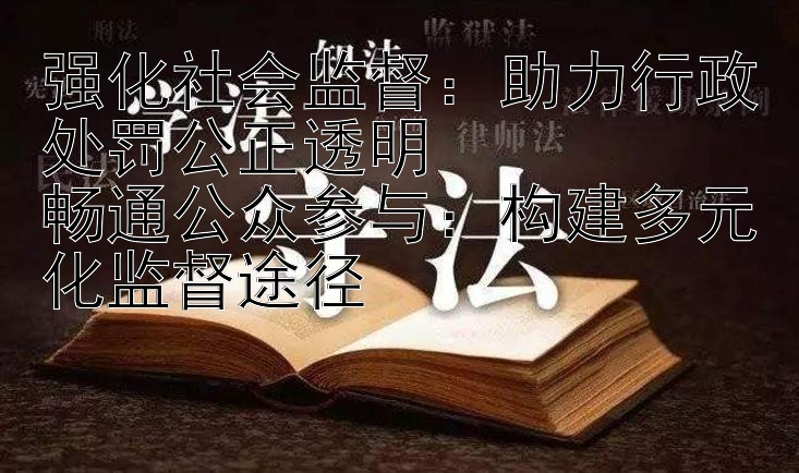 强化社会监督：助力行政处罚公正透明  
畅通公众参与：构建多元化监督途径