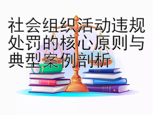 社会组织活动违规处罚的核心原则与典型案例剖析