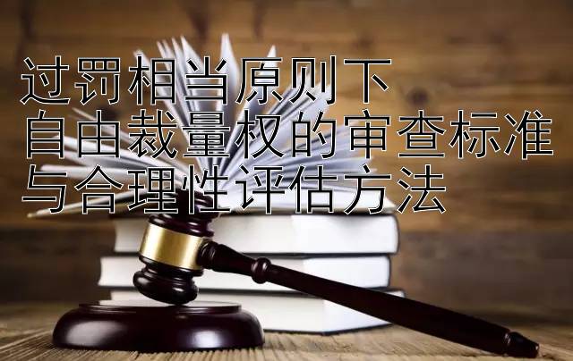 过罚相当原则下  
自由裁量权的审查标准与合理性评估方法