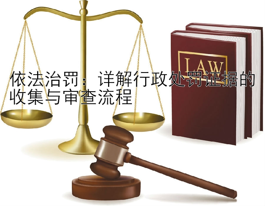 依法治罚：详解行政处罚证据的收集与审查流程