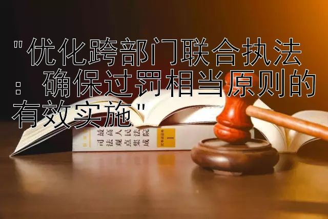 优化跨部门联合执法：确保过罚相当原则的有效实施