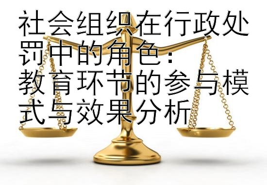 社会组织在行政处罚中的角色：  
教育环节的参与模式与效果分析