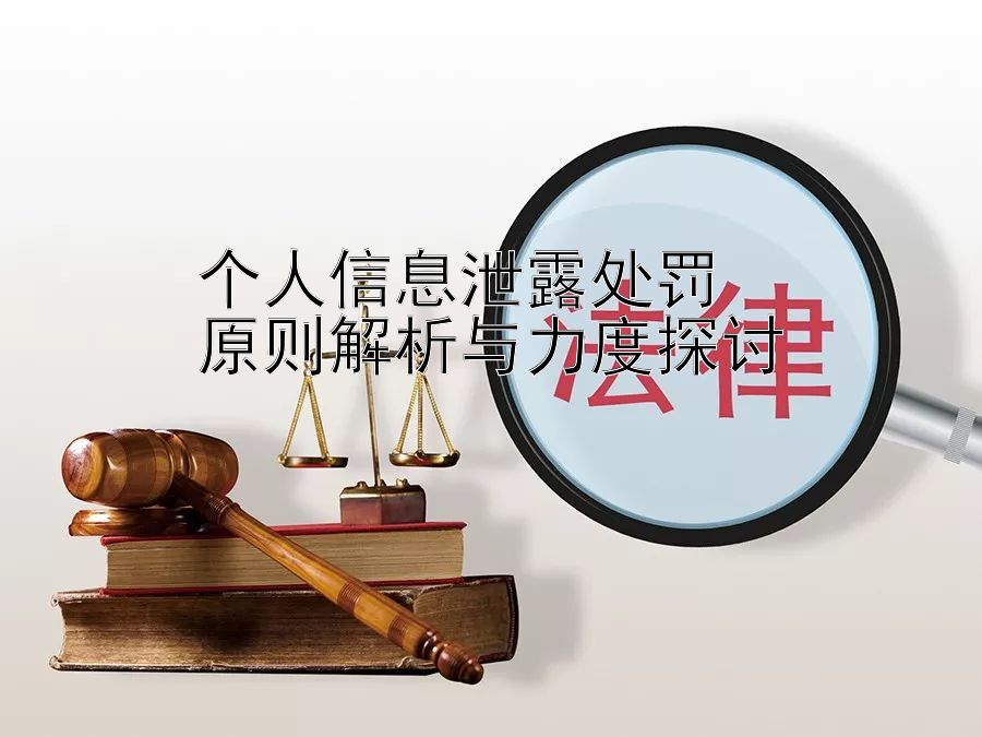 个人信息泄露处罚  
原则解析与力度探讨