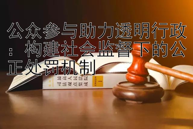 公众参与助力透明行政：构建社会监督下的公正处罚机制