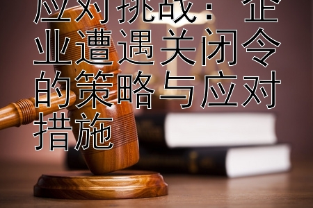 应对挑战：企业遭遇关闭令的策略与应对措施