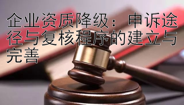 企业资质降级：申诉途径与复核程序的建立与完善