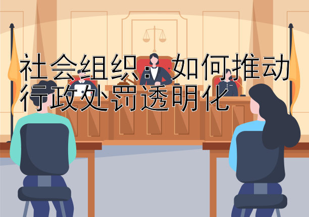 社会组织：如何推动行政处罚透明化