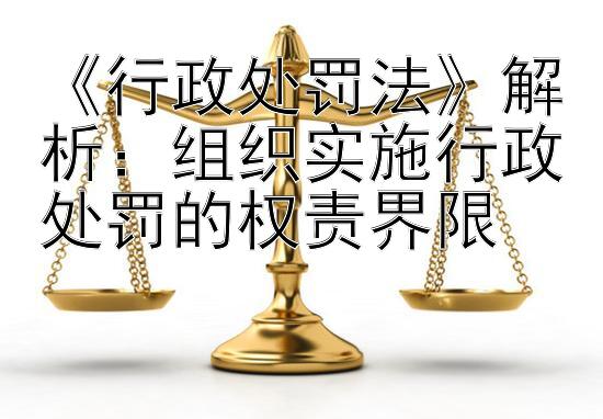 《行政处罚法》解析：组织实施行政处罚的权责界限