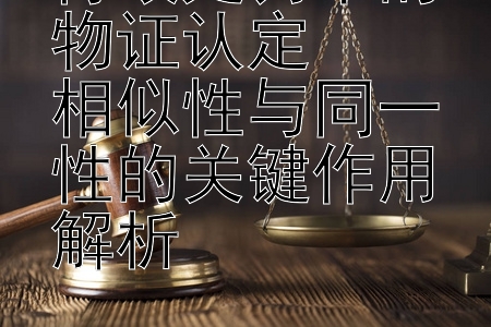 行政处罚中的物证认定  
相似性与同一性的关键作用解析